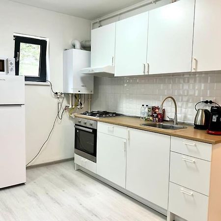 Otopeni Studio C1 1 Airport Therme Bagian luar foto