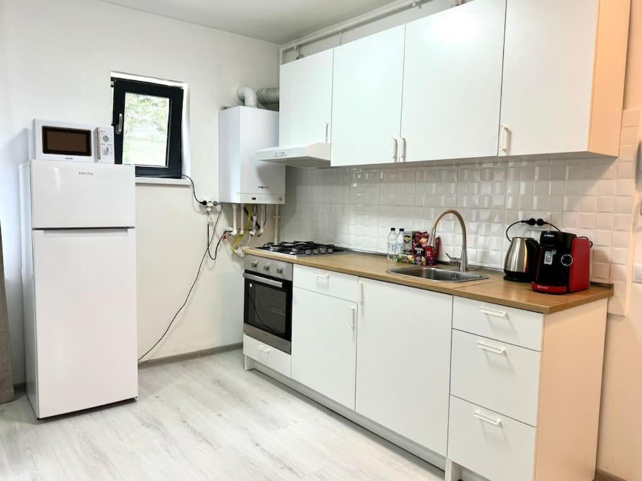 Otopeni Studio C1 1 Airport Therme Bagian luar foto
