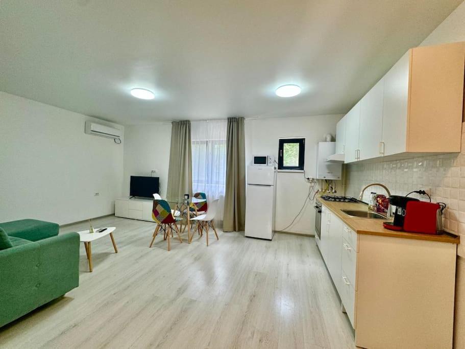 Otopeni Studio C1 1 Airport Therme Bagian luar foto